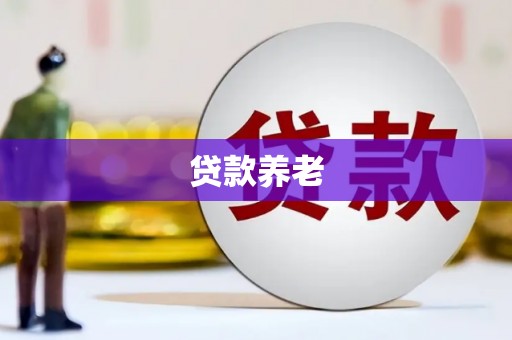 前镇贷款养老
