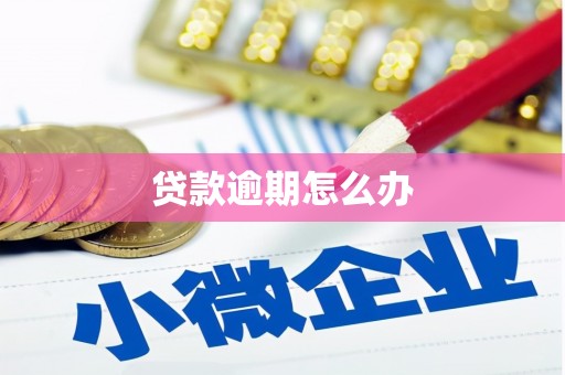前镇贷款逾期怎么办