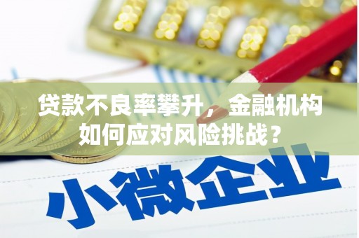 前镇贷款不良率攀升，金融机构如何应对风险挑战？
