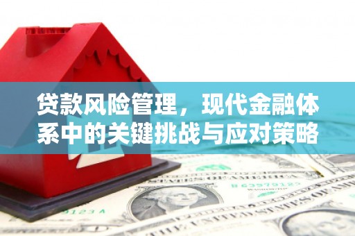 前镇贷款风险管理，现代金融体系中的关键挑战与应对策略