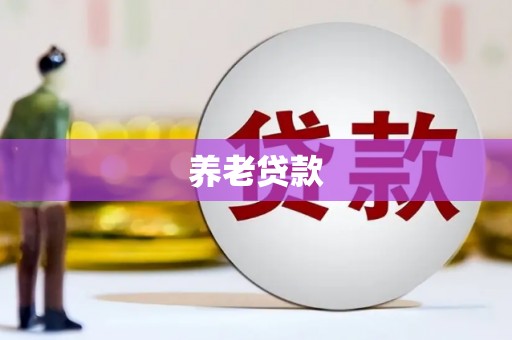 前镇养老贷款