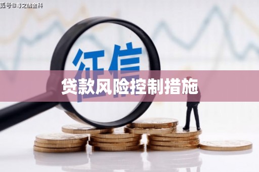前镇贷款风险控制措施