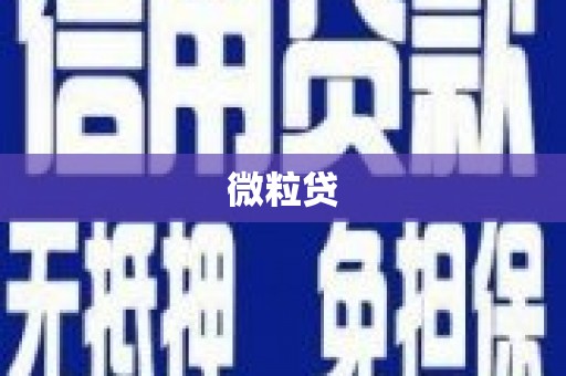 前镇微粒贷