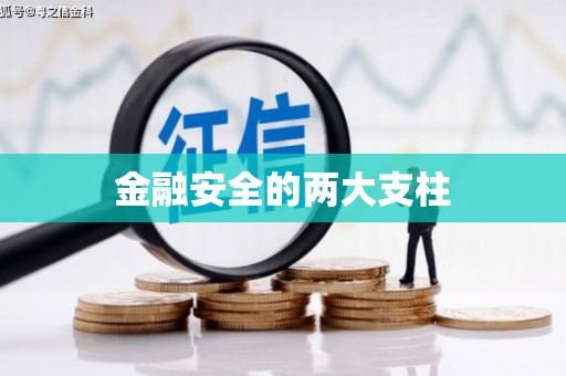前镇金融安全的两大支柱