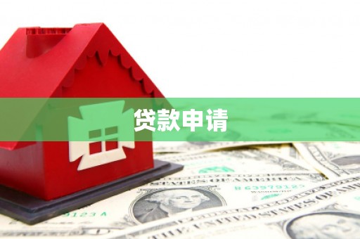 前镇贷款申请