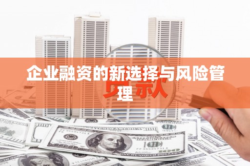 前镇企业融资的新选择与风险管理