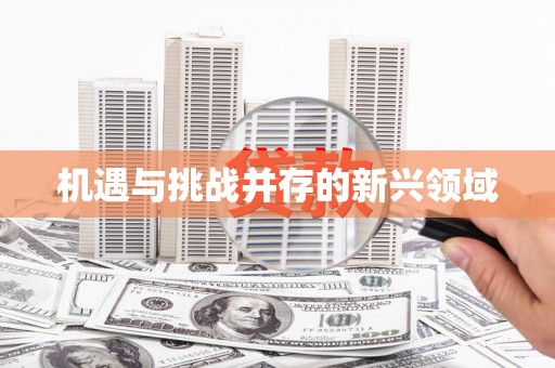 前镇机遇与挑战并存的新兴领域