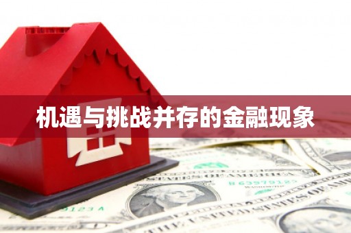 前镇机遇与挑战并存的金融现象