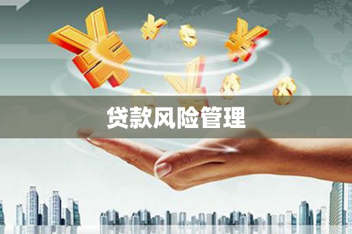 前镇贷款风险管理